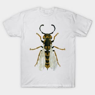 Wasp T-Shirt